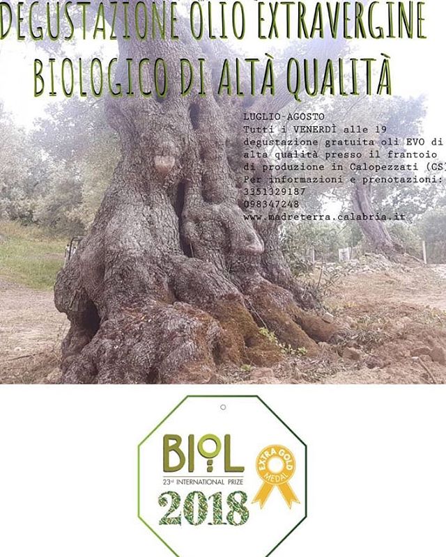 #madreterra #degustazione #calopezzati #olio #evo #bio